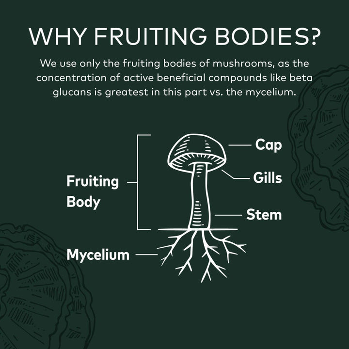 Gaia Reishi Mushroom 40 Vcaps - The Oasis of Health