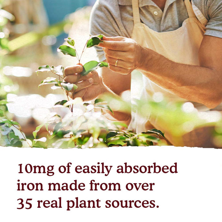 Garden of Life - mykind Organics Plant Iron & Organic Herbs liquid - 8 oz. - The Oasis of Health