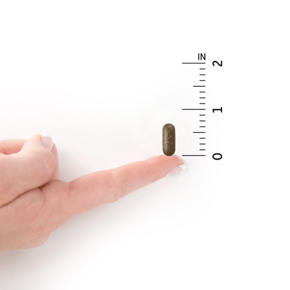 Garden of Life - Primal Defense HSO Probiotic Formula - 180 Vegetarian Caplet(s) - The Oasis of Health