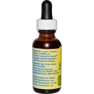 Gentian Dropper 1 Ounces - The Oasis of Health