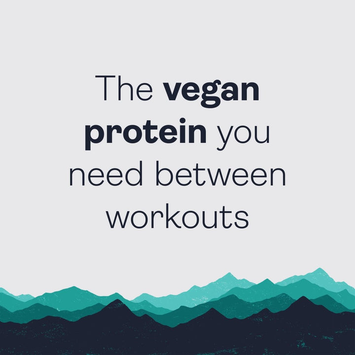 Gnarly Nutrition - Vegan Plant Protein Meal Replacement Powder Vanilla - 28.2 oz. - The Oasis of Health