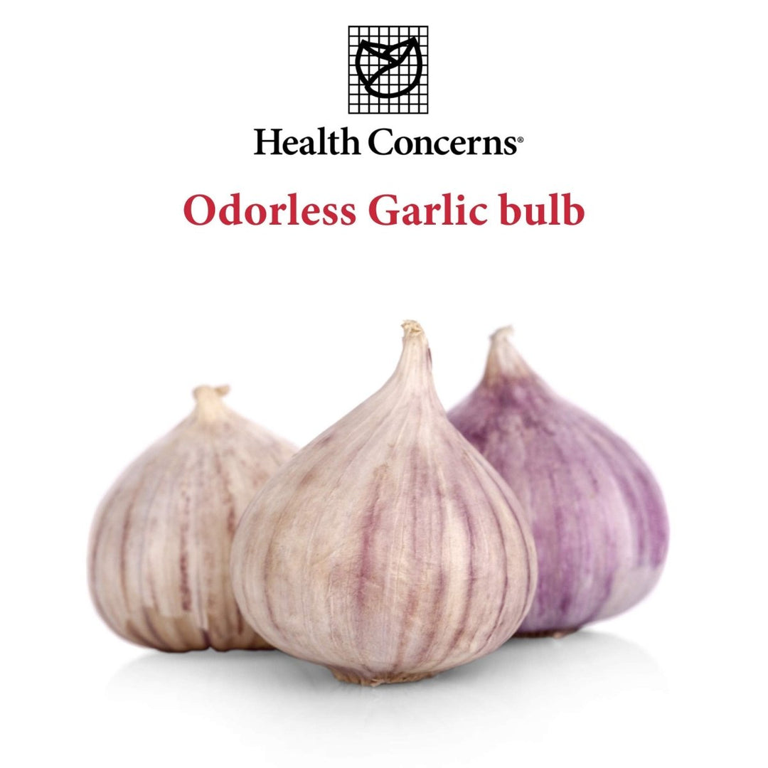 Health Concerns - Astra Garlic - Odorless Garlic Chinese Herbal Supplement - Cardiovascular System Support - with Odorless Garlic Bulb - 90 Count - The Oasis of Health
