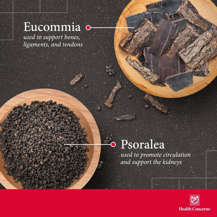 Health Concerns Backbone 90 Tablets - The Oasis of Health