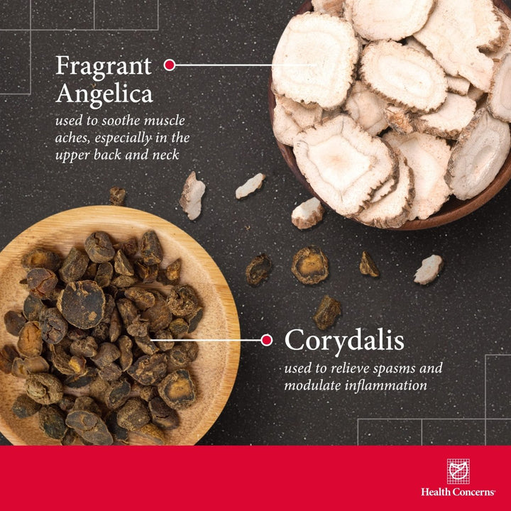 Health Concerns Channel Flow - Muscle Health Supplement - Blood Support - 180 Capsules - The Oasis of Health