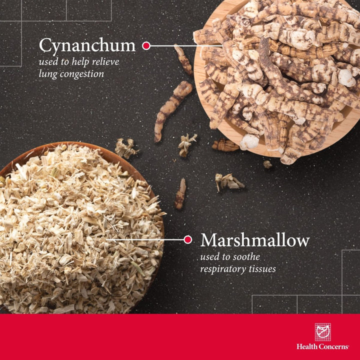 Health Concerns Clear Air - Lung Health & Respiratory Support Supplement - 90 Capsules - The Oasis of Health