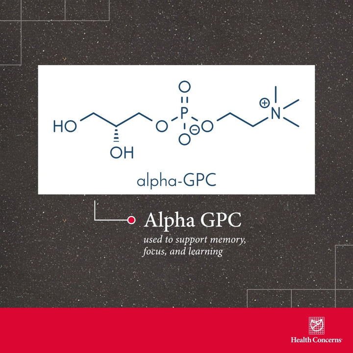 Health Concerns Cogni Spark - Brain Health Support for Memory - Focus Supplement - 30 Capsules - The Oasis of Health