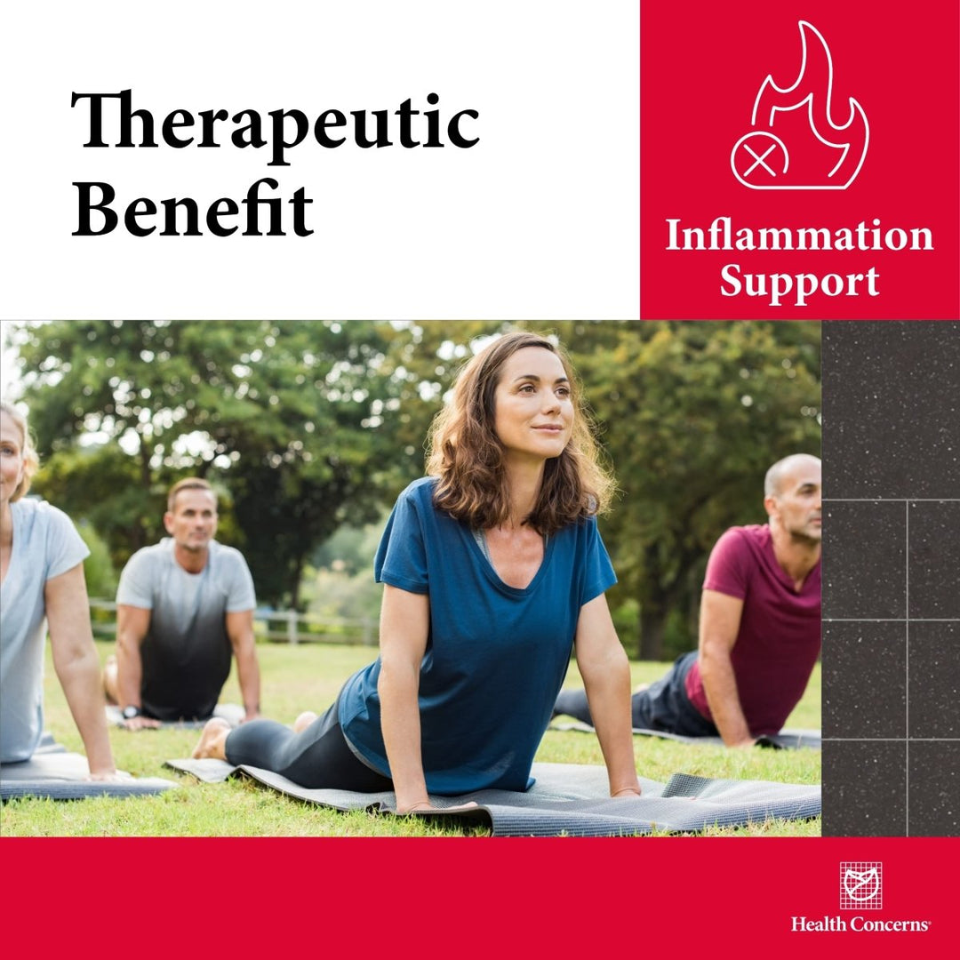 Health Concerns Coptis Purge Fire 90 Capsules - The Oasis of Health