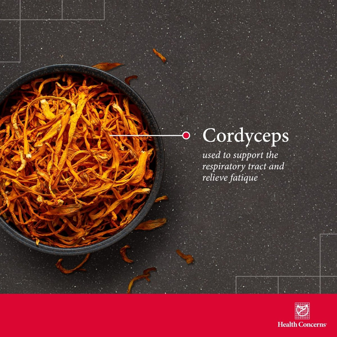 Health Concerns Cordyceps PS - Lung Health & Respiratory System Supplement - 50 Capsules - The Oasis of Health