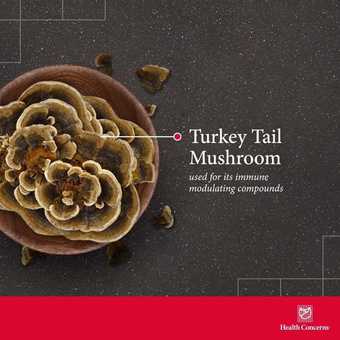 Health Concerns Coriolus PS - Immune System Support & Mushroom Supplement - 90 Capsules - The Oasis of Health