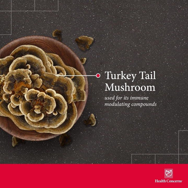 Health Concerns Coriolus PS - Immune System Support & Mushroom Supplement - 90 Capsules - The Oasis of Health