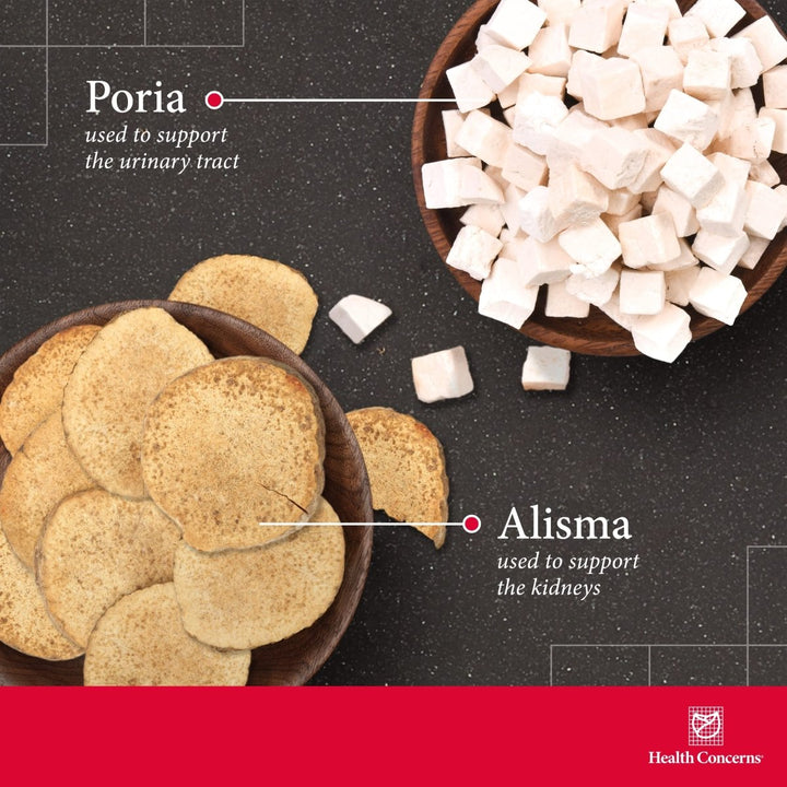 Health Concerns Drain Dampness - Kidney Support & Health Supplement - Bladder Health - 90 Capsules - The Oasis of Health