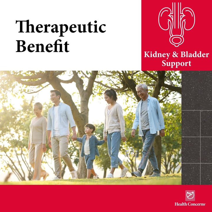 Health Concerns Drain Dampness - Kidney Support & Health Supplement - Bladder Health - 90 Capsules - The Oasis of Health