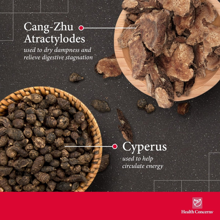 Health Concerns Escape Restraint - Digestion & Liver Health Formula Supplement - 90 Capsules - The Oasis of Health