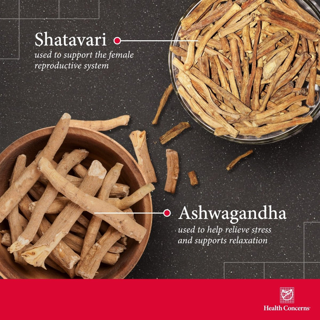 Health Concerns Fertile Garden - Menstrual Relief & Women's Health Supplement - 90 Capsules - The Oasis of Health