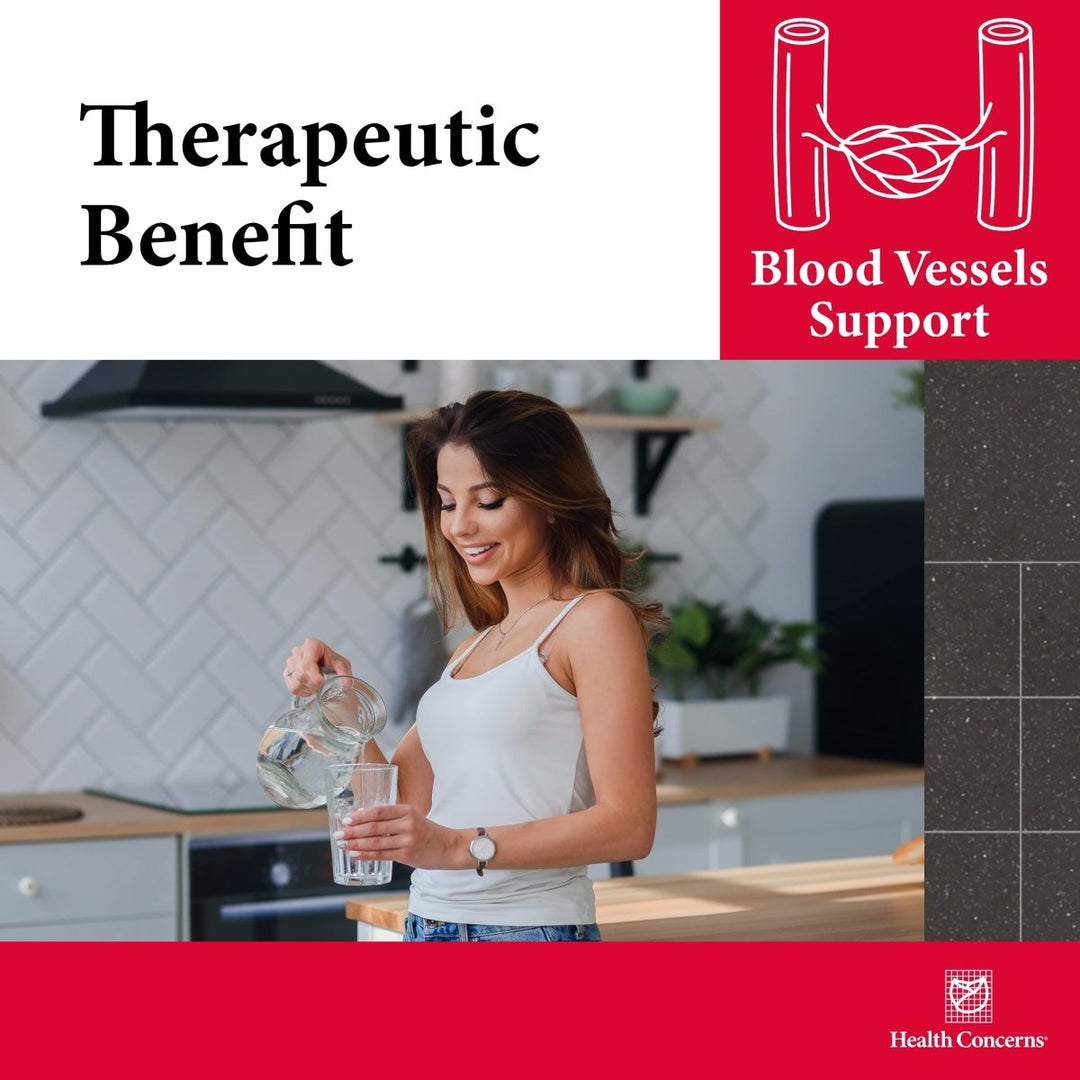 Health Concerns Formula H - Blood Circulation Support Supplements - 90 Capsules - The Oasis of Health