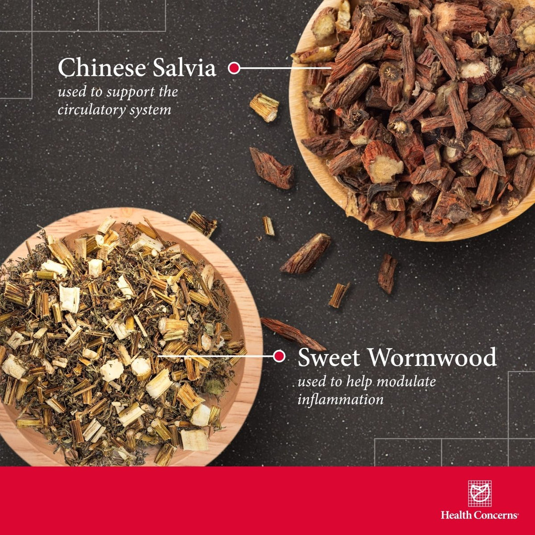 Health Concerns Formula H - Blood Circulation Support Supplements - 90 Capsules - The Oasis of Health