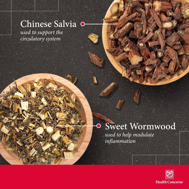 Health Concerns Formula H - Blood Circulation Support Supplements - 90 Capsules - The Oasis of Health