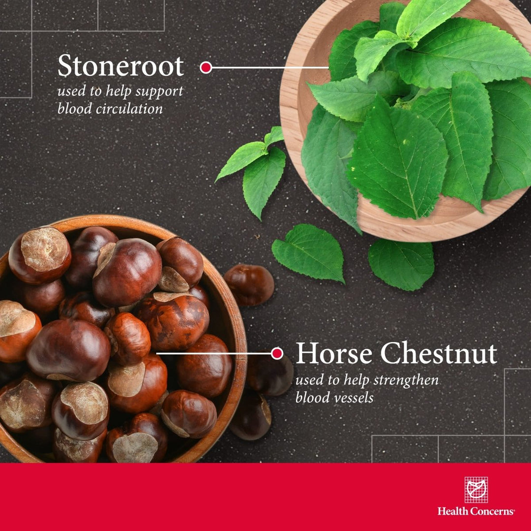 Health Concerns Formula V - Blood Health & Circulation Supplement - Aids Blood Vessels - 90 Capsules - The Oasis of Health