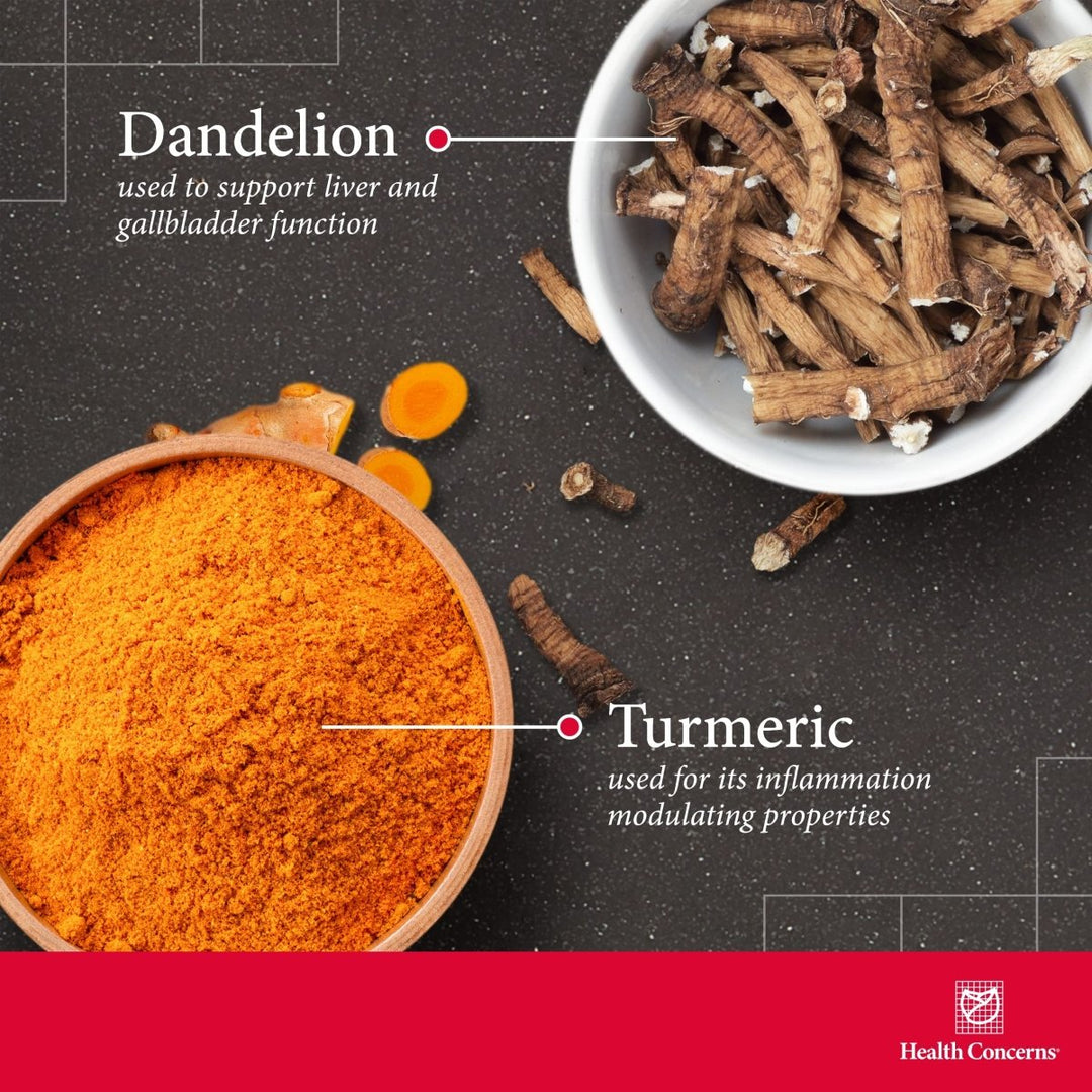 Health Concerns GB - 6 - Gallbladder Support & Liver Health Supplement - 90 Capsules - The Oasis of Health