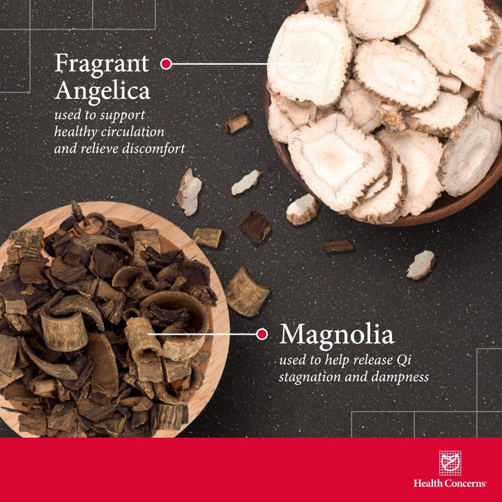 Health Concerns Head - Q - Herbal Supplement for Tension & Sinus Headache Support - 90 Capsules - The Oasis of Health