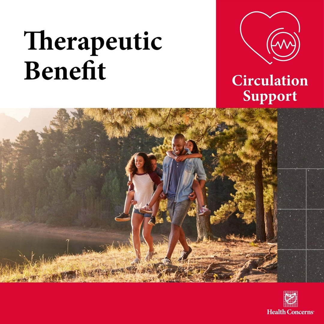 Health Concerns IBP: Enhancing Heart Health and Blood Flow with Traditional Herbal Support - The Oasis of Health