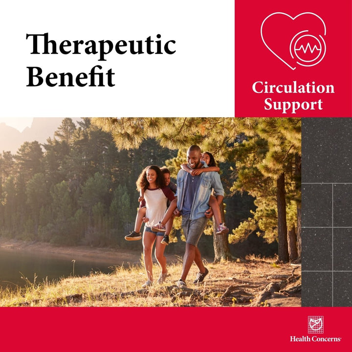 Health Concerns IBP: Enhancing Heart Health and Blood Flow with Traditional Herbal Support - The Oasis of Health