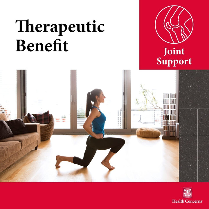 Health Concerns Mobility 2 - Joint Health & Circulation Support Supplement - 90 Capsules - The Oasis of Health
