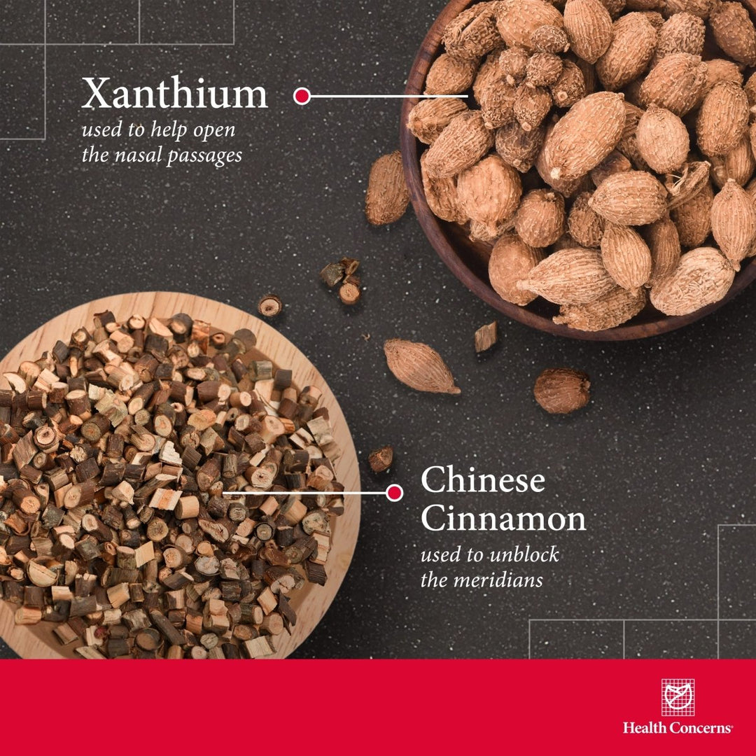 Health Concerns Nasal Tabs / Caps 2 90 Capsules / Tablets - The Oasis of Health