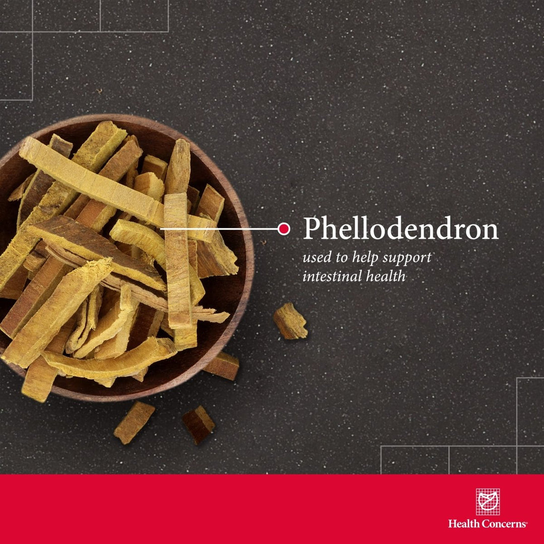 Health Concerns Phellostatin 270 Tablets - The Oasis of Health