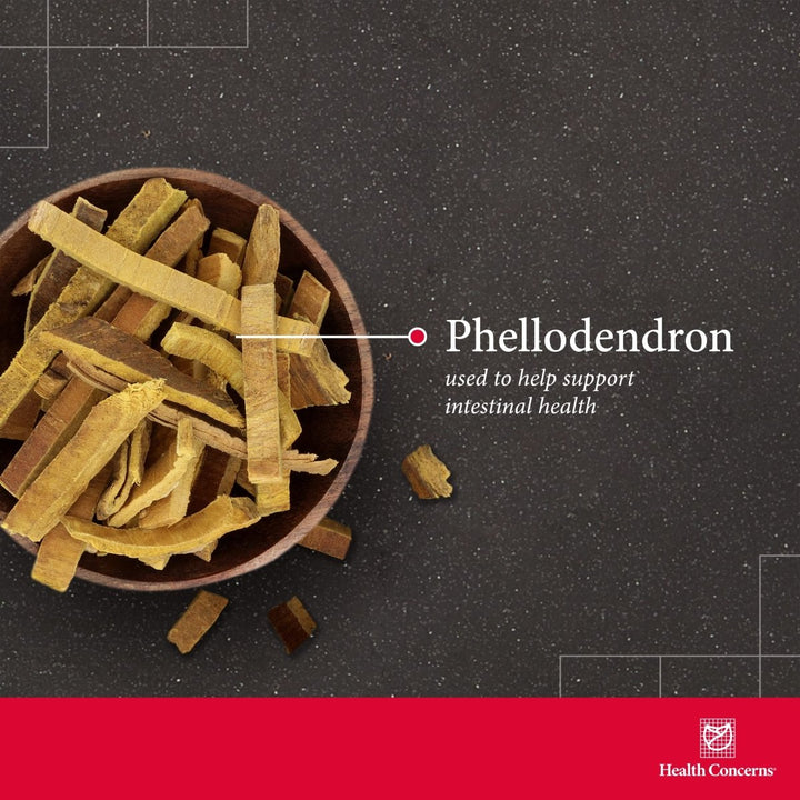 Health Concerns Phellostatin 270 Tablets - The Oasis of Health