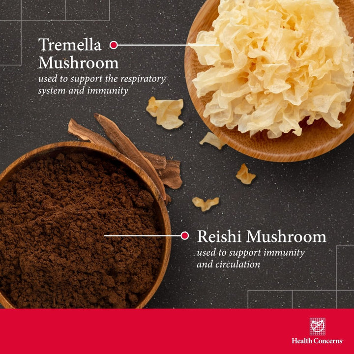 Health Concerns Power Mushrooms 90 Tablets - The Oasis of Health