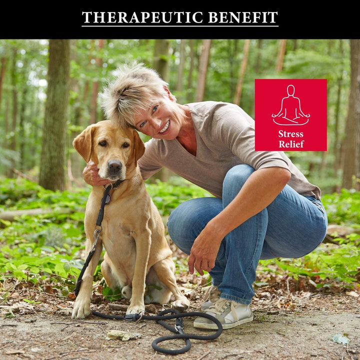 Health Concerns - Shen - Gem - Modified GUI Pi Wan Herbal Supplement - 90 Tablets - The Oasis of Health