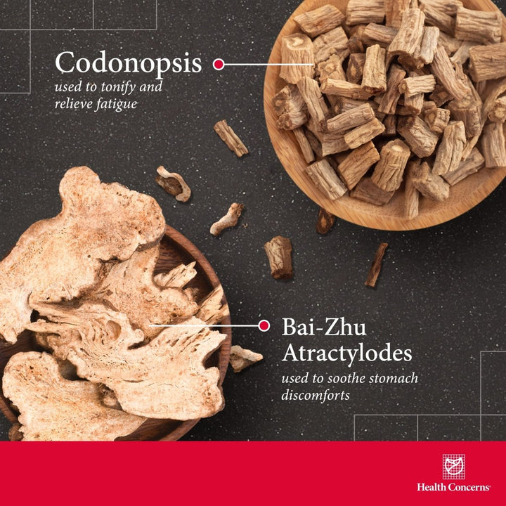 Health Concerns Six Gentlemen - Digestion Health Supplement with Ginger & Licorice Root - 90 Capsules - The Oasis of Health