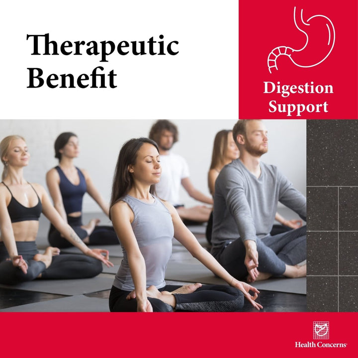 Health Concerns Six Gentlemen - Digestion Health Supplement with Ginger & Licorice Root - 90 Capsules - The Oasis of Health