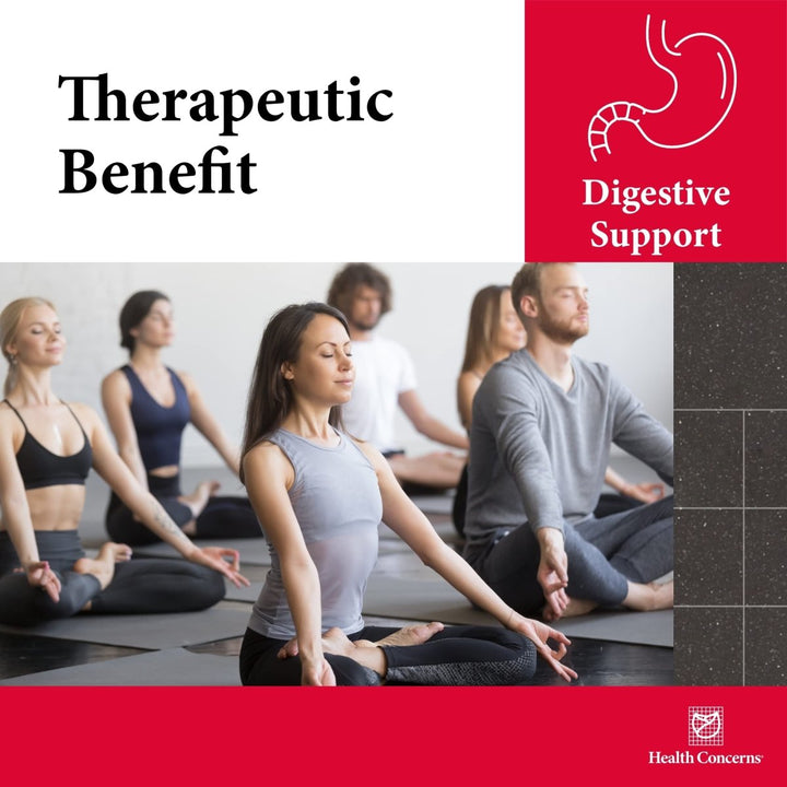 Health Concerns Source qi - Intestinal Support and Digestion Function Supplement - 270 Capsules - The Oasis of Health