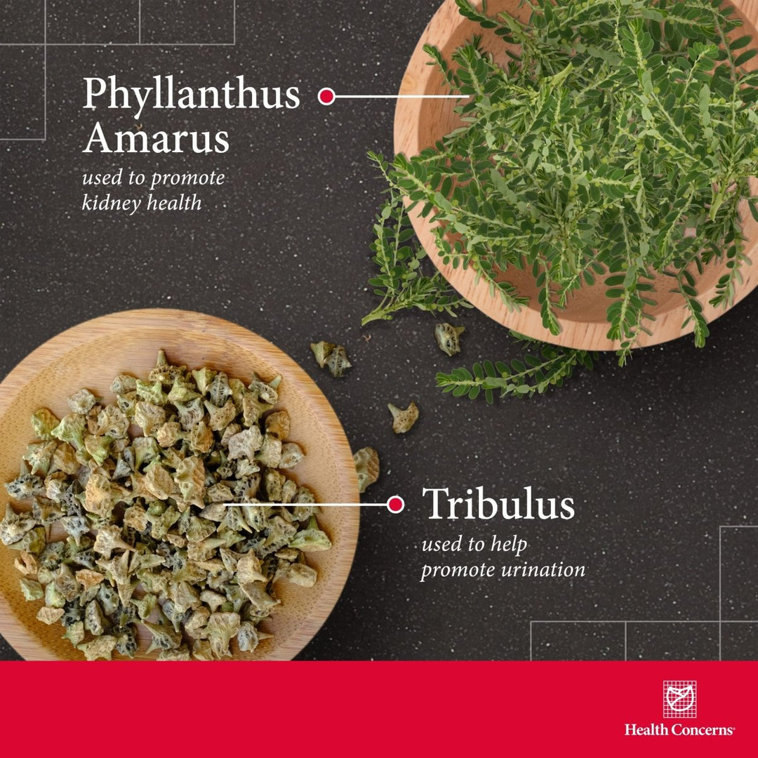 Health Concerns Stone Clearing - Urinary Tract Health & Kidney Support Supplement - 90 Capsules - The Oasis of Health