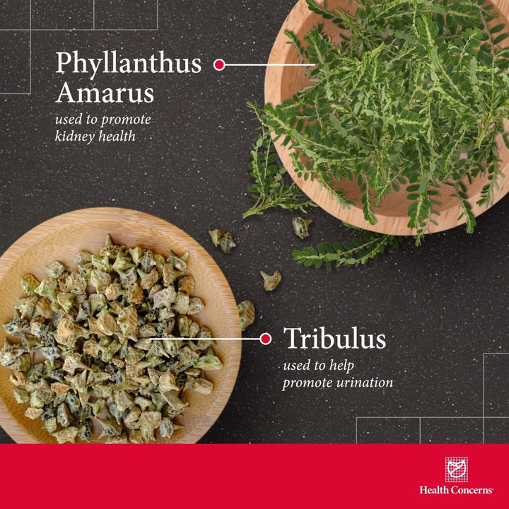 Health Concerns Stone Clearing - Urinary Tract Health & Kidney Support Supplement - 90 Capsules - The Oasis of Health