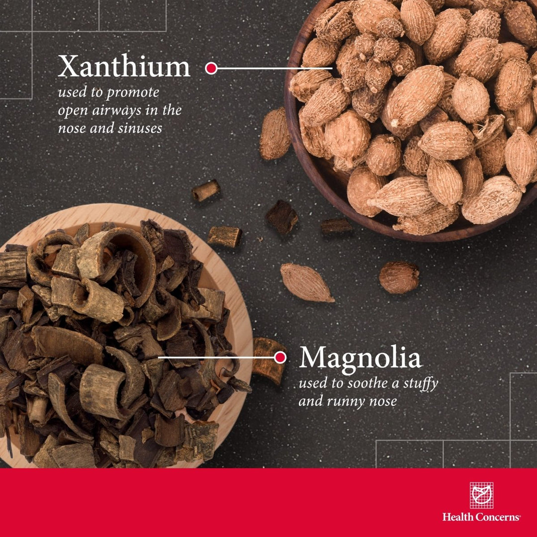 Health Concerns Xanthium Relieve Surface 90 Tablets - The Oasis of Health