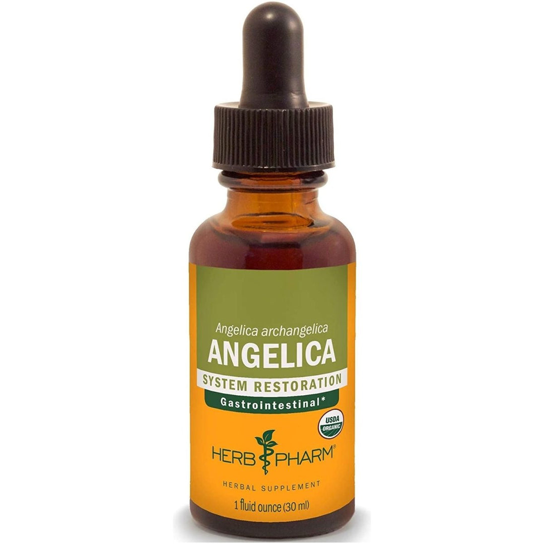 Herb Pharm Angelica 1oz - The Oasis of Health