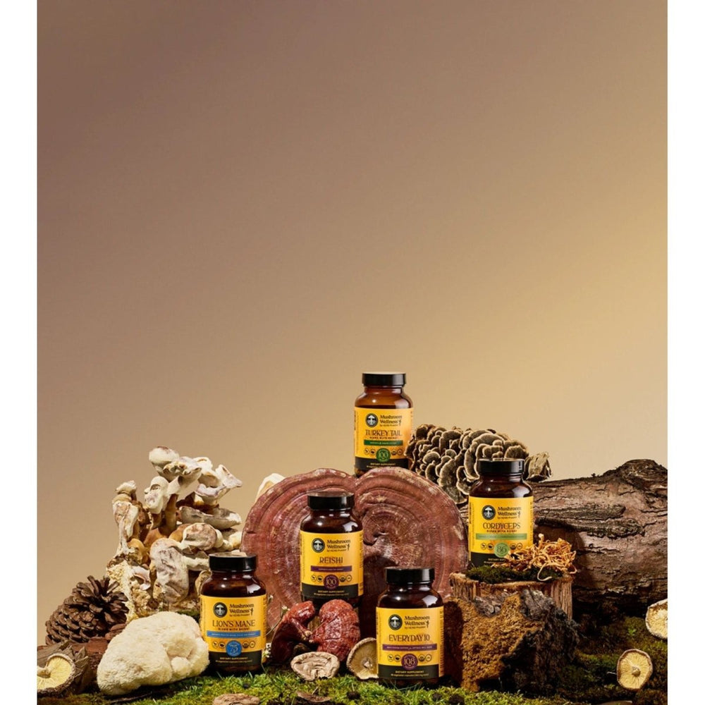 Herb Pharm Black Elderberry Glycerate - 1oz - The Oasis of Health