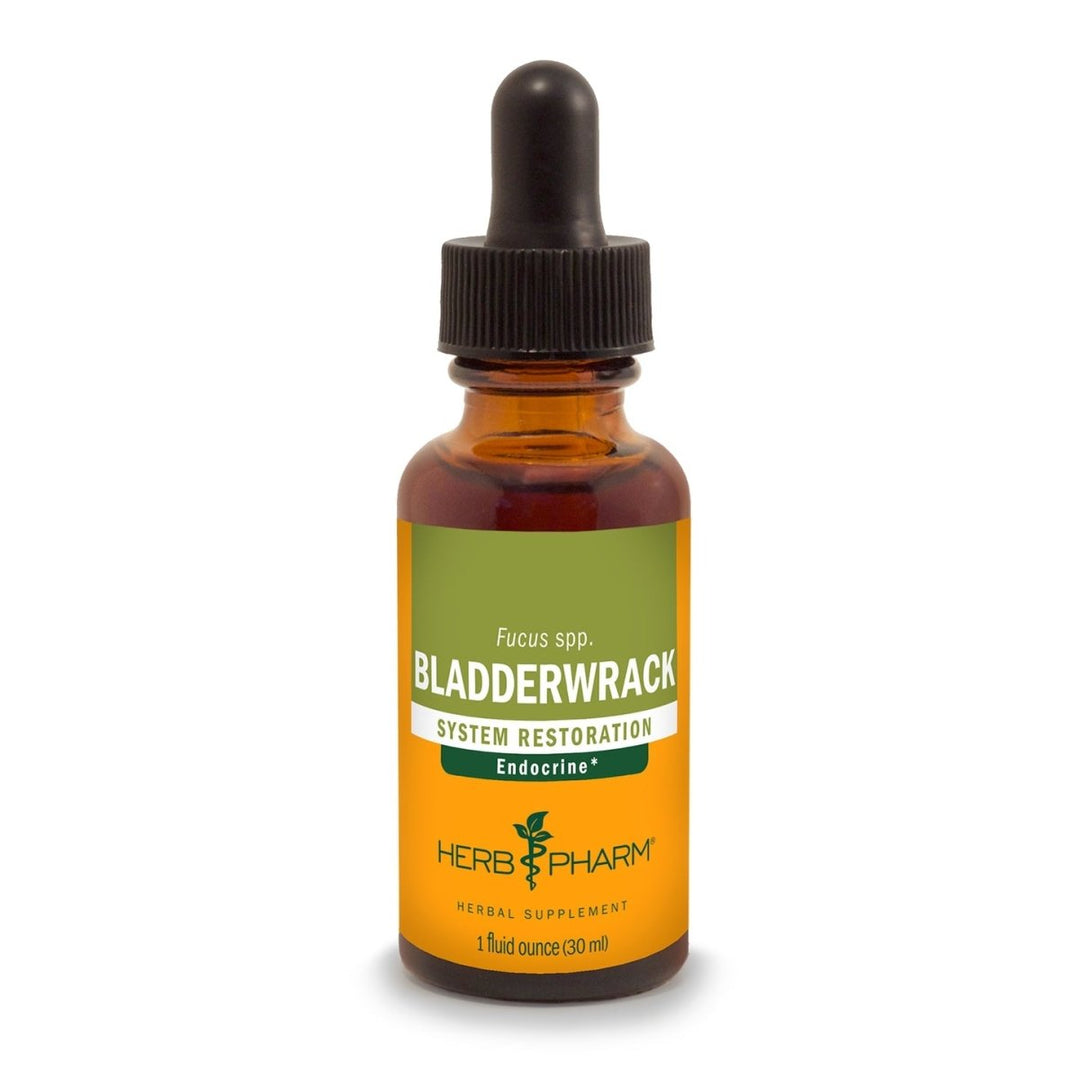 Herb Pharm Bladderwrack 1oz - The Oasis of Health