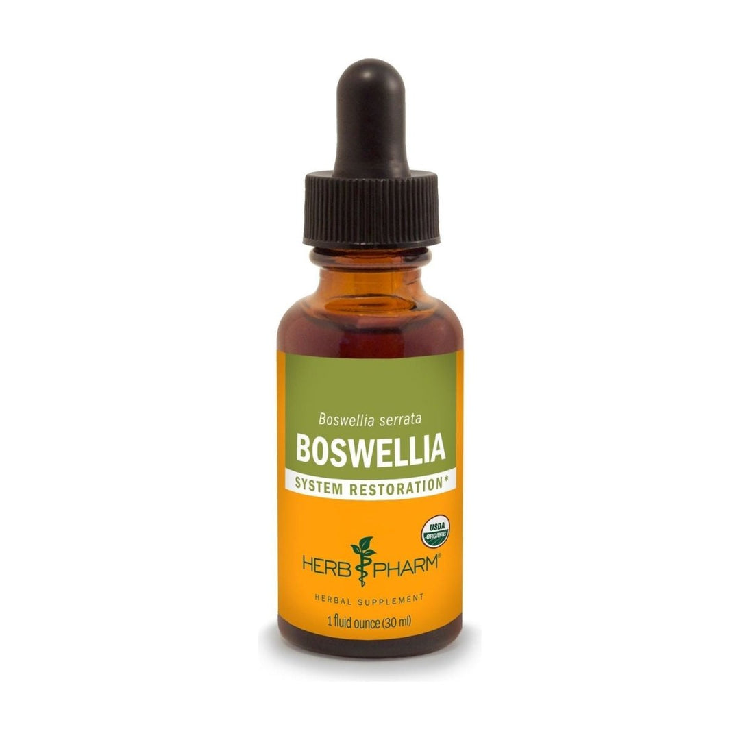 Herb Pharm Boswellia 1oz - The Oasis of Health