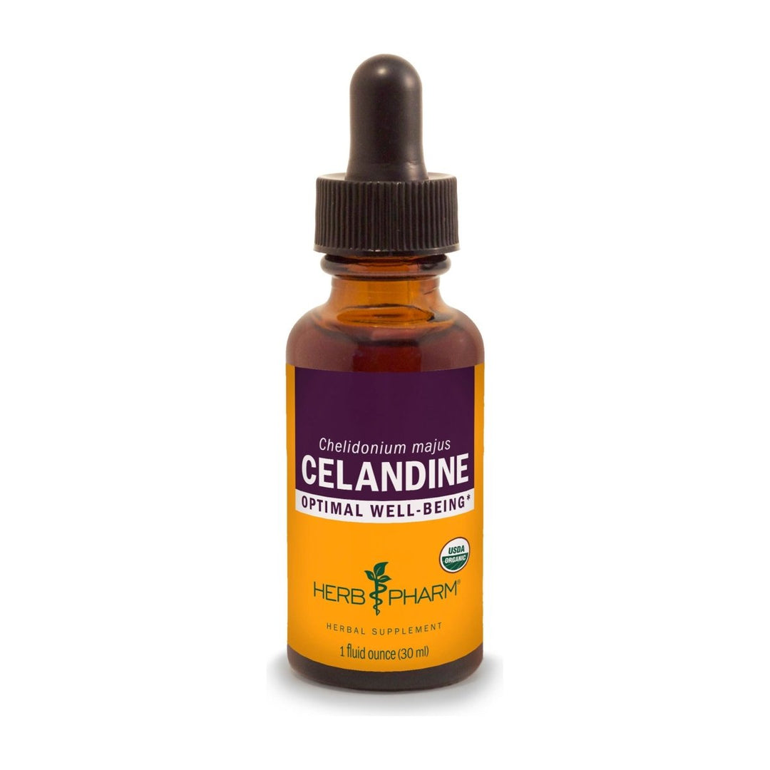 Herb Pharm Celandine 1oz - The Oasis of Health