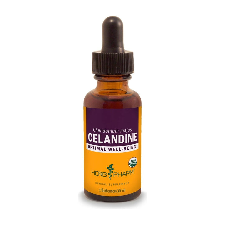 Herb Pharm Celandine 1oz - The Oasis of Health