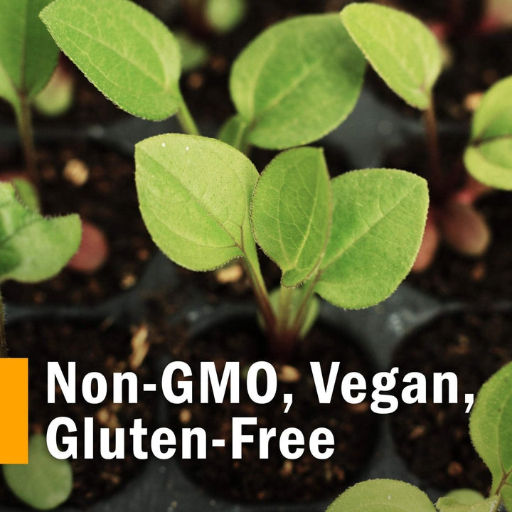 Herb Pharm Cholesterol Health Herbal Liquid Formula for Cardiovascular and Circulatory Support - 1 Ounce - The Oasis of Health