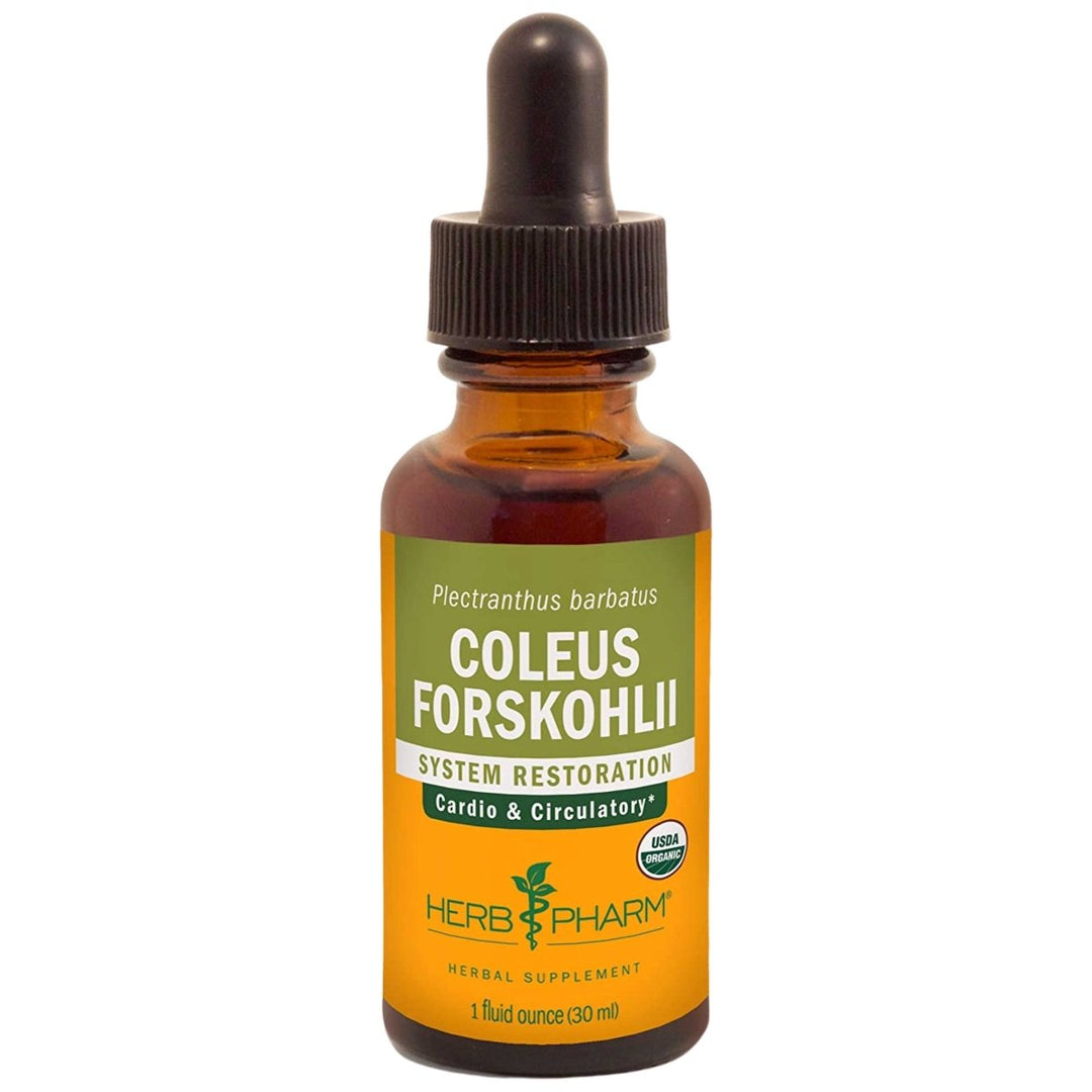 Herb Pharm Coleus Forskohlii 1oz - The Oasis of Health
