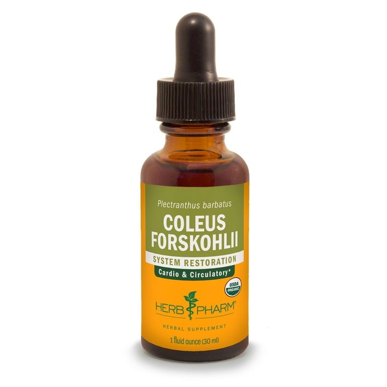 Herb Pharm Coleus Forskohlii 1oz - The Oasis of Health