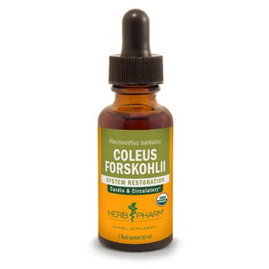Herb Pharm Coleus Forskohlii 1oz - The Oasis of Health
