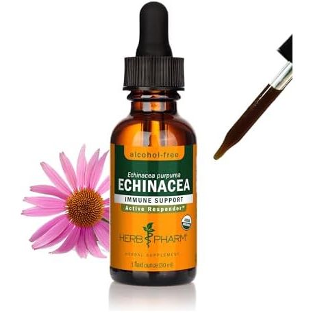 Herb Pharm Echinacea Alcohol Free 1oz - The Oasis of Health