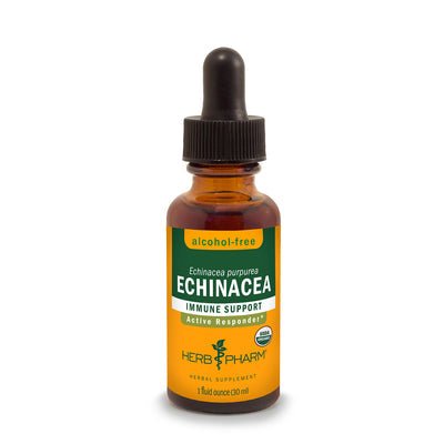 Herb Pharm Golden Echinacea Alcohol Free 1oz - The Oasis of Health